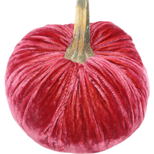 Hot Skwash | Velvt Pumpkin, Guava | Silk (Pink, Size 4"") | Maisonette | Maisonette