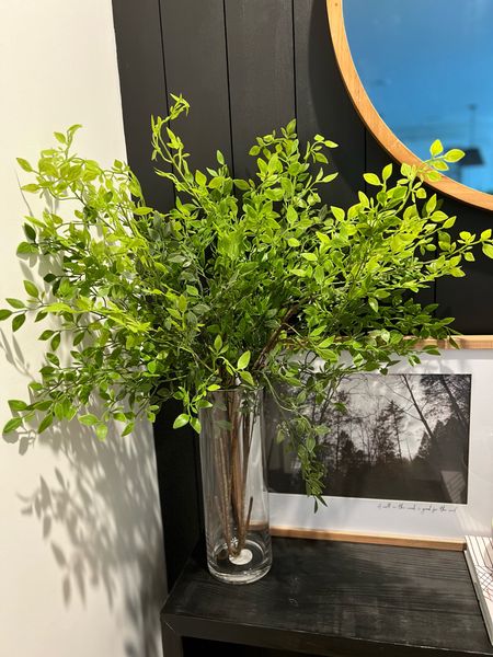 These Italian Ruscus stems are just beautiful and so life like from Journey Decor. Shop the look now. 

#LTKFindsUnder50 #LTKHome