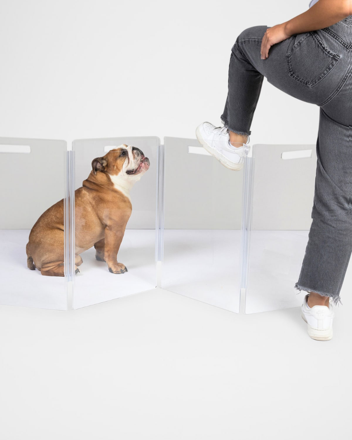 Clear Freestanding Low Zig-Zag Pet Gate | Neiman Marcus