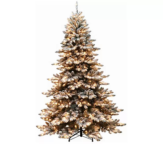 6.5' Royal Majestic Spruce Green Tree Flocked 500 Clear Light | QVC