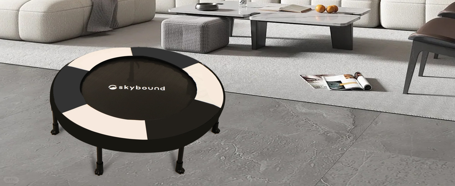 SkyBound 36 Inch Indoor Trampoline for Kids - Kids Trampoline Indoor with Handle - Toddler Trampo... | Amazon (US)