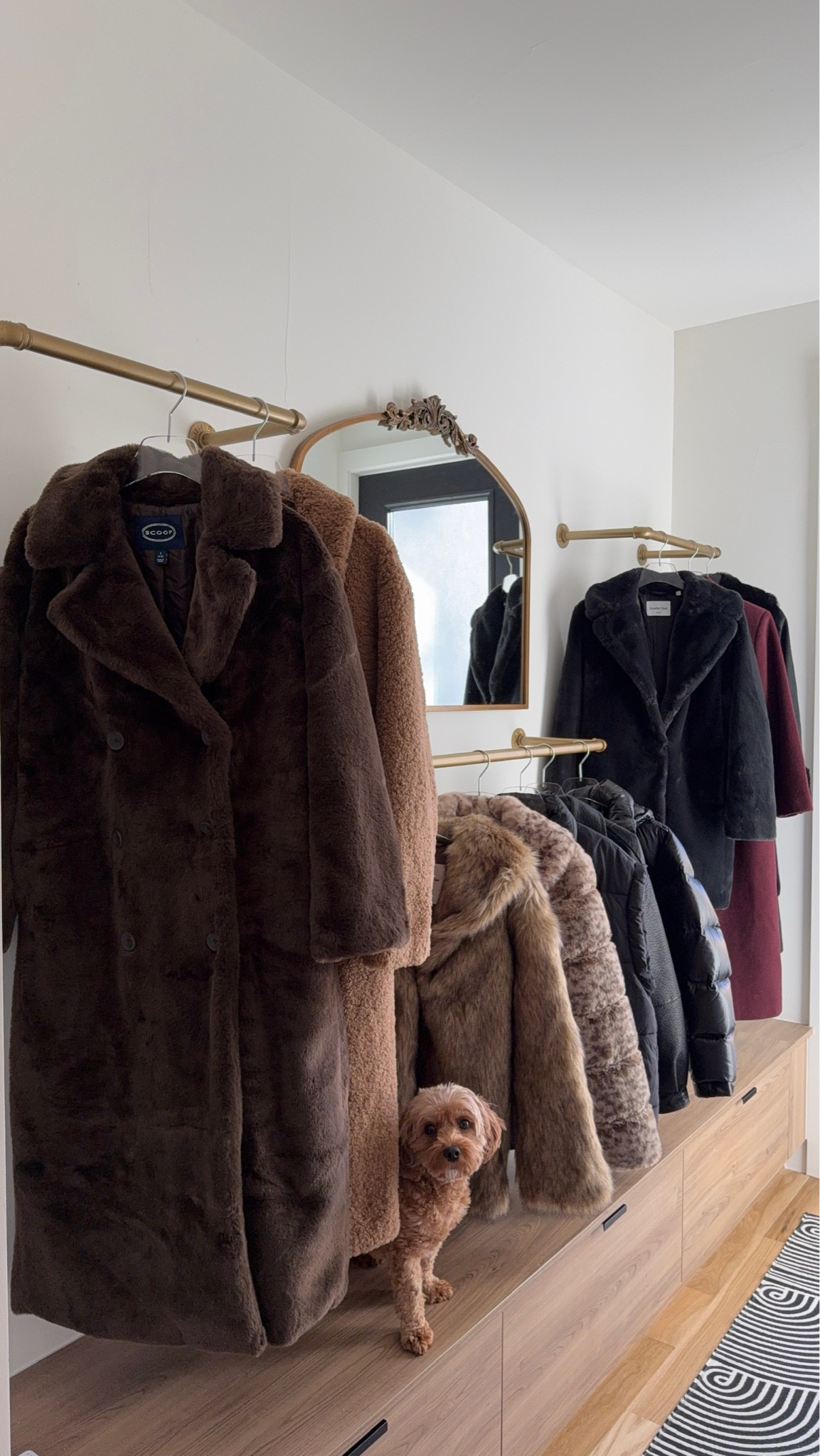 Winter closet organization winter
Coats closet rods and mirror home decor 

#LTKStyleTip #LTKHome #LTKSeasonal