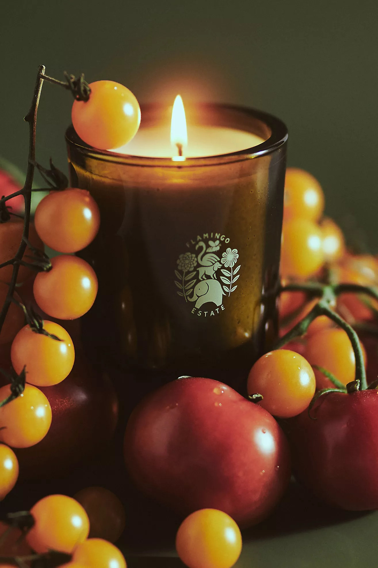 Flamingo Estate Candle | Anthropologie (US)