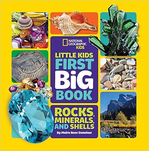 Little Kids First Big Book of Rocks, Minerals & Shells (Library edition) (First Big Books)    Lib... | Amazon (US)