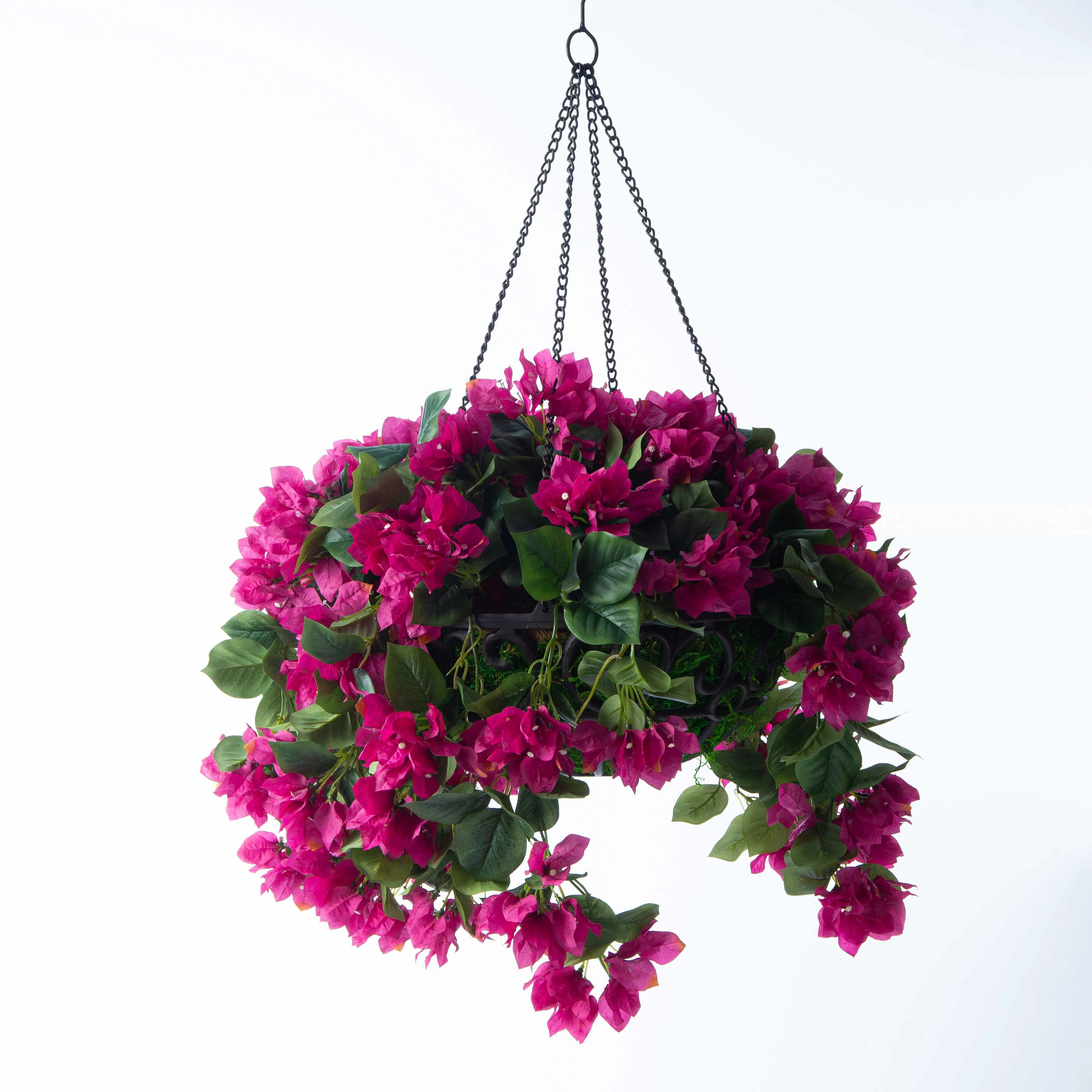 DarbyCreekTrading Mixed Hanging Basket | Wayfair | Wayfair North America