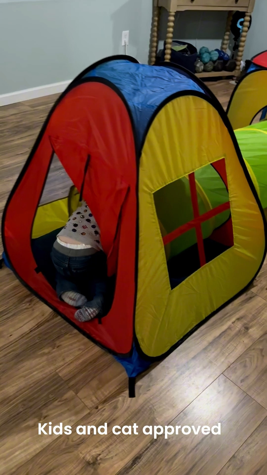 This has been such a hit in our house since Christmas.
The kids love it, and even the cat jumps in — easy, everyday entertainment.

#LTKBaby #LTKmomlife #LTKKids