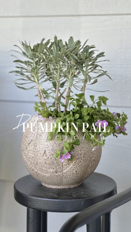 Pumpkin Pail Upcycle


Transforming last year's Halloween pumpkin pail into a stunning faux stone planter for our porch using stone-texture spray paint. Let's give those old decorations new life with a quick spray and some creativity! 

#DIYHomeDecor #UpcyclingMagic #PumpkinPailMakeover #StoneTextureSprayPaint 

#LTKHalloween #LTKhome #LTKSeasonal