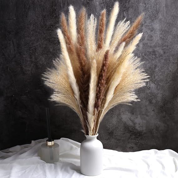 60 Pcs Dried Pampas Grass Decor - 19" Natural Pompas Floral/ Dried Pompous Grass for Flower Arran... | Amazon (US)