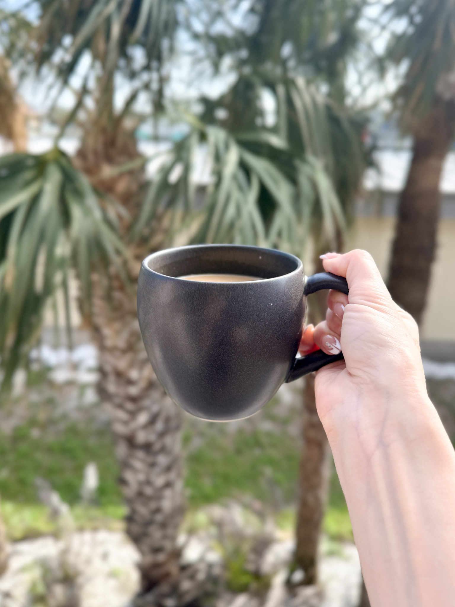 Upgrade your dining experience with a sleek, modern touch 🍽️✨ with this matte black stoneware dinnerware and coffee mugs set! Designed with a minimalist, contemporary finish, it adds bold elegance while staying durable and practical for everyday use 💖🏡. Perfect for both casual meals and stylish hosting, it brings that effortlessly chic vibe to your table 👀✨. Trust me, this is the kind of set that makes every meal feel a little more elevated 💕

#dinnerware #coffeemugs #kitchenessentials #homeessentials #dininginspo #modernhome #tabledecor #homedecor #kitchenmusthaves #homeupgrade #diningstyle #cozyhome #homeliving #dailyessentials #interiorinspo #homeinspo #lifestyleupgrade #ltkhome #ltkfinds #homecomfort #modernliving #tableware #dininggoals #stylishhome 

 
