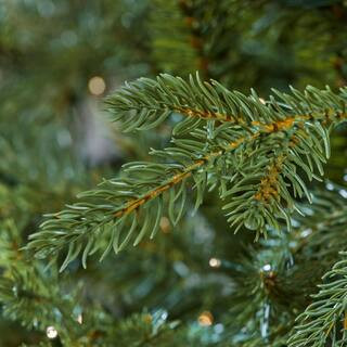 Home Decorators Collection 9 ft Grand Duchess Balsam Fir 21LE31010 - The Home Depot | The Home Depot