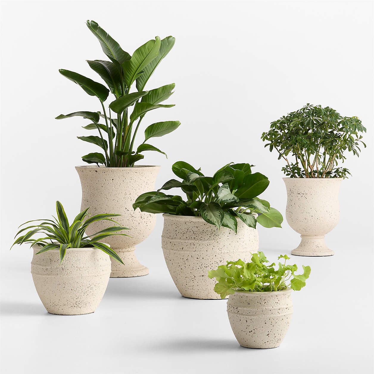 Malta Ivory Indoor/Outdoor Planter 16"x13" + Reviews | Crate & Barrel | Crate & Barrel