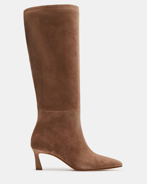 LAVAN TAUPE SUEDE | Steve Madden (US)