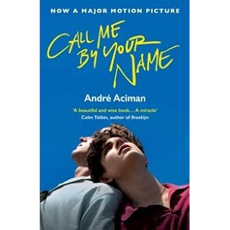 Call Me By Your Name Book Series 2 Books Collection Set By Andre Aciman (Call Me By Your Name, Fi... | Amazon (UK)