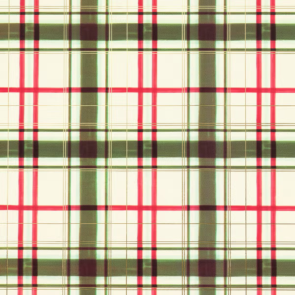 waste not paper Holiday Painted Plaid  Wrapping Paper | The Container Store
