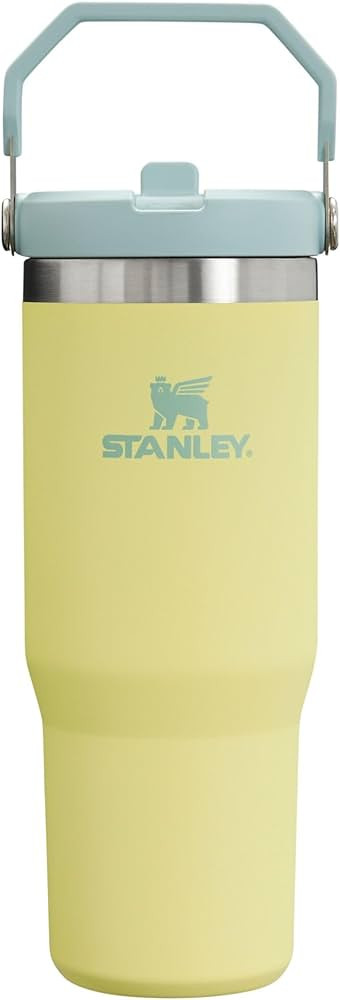 Stanley IceFlow Flip Straw Tumbler with Handle 30 oz | Twist On Lid and Flip Up Straw | Leak Resi... | Amazon (US)