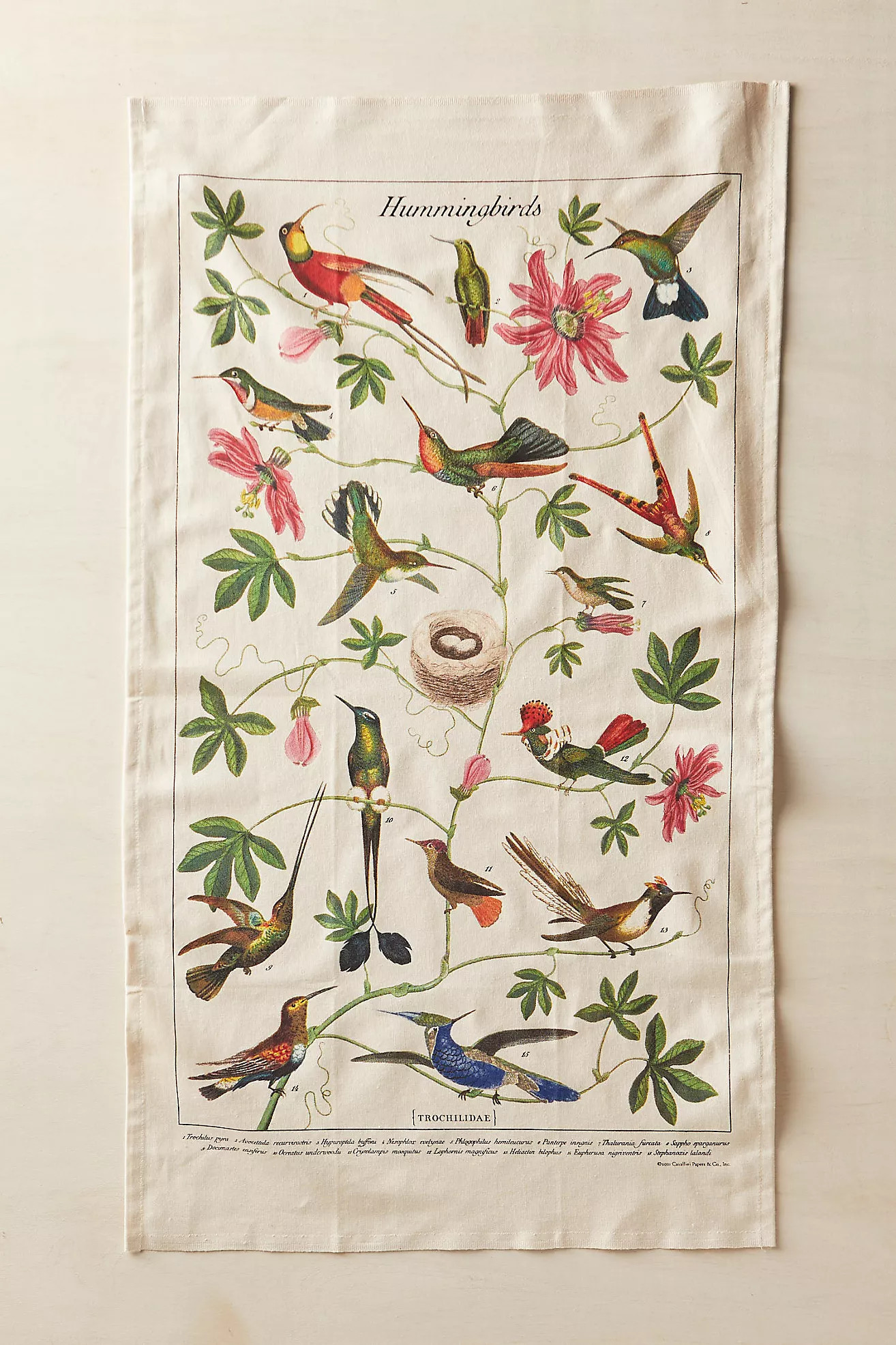 Hummingbirds Cotton Dish Towel | Anthropologie (US)