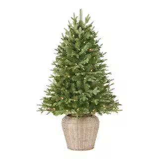 Home Accents Holiday 4 ft Fraser Fir Incandescent Pre-Lit Artificial Christmas Tree with 70 Clear... | The Home Depot