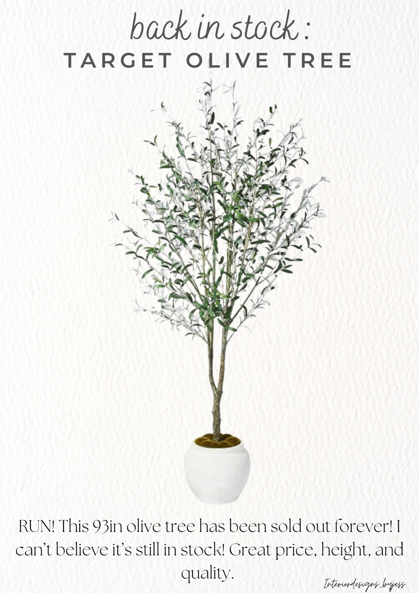 This almost 8 foot olive tree from target is always sold out and it is finally IN STOCK! Run friends because this will not last! 

Studio McGee 
Faux olive tree
Faux plants 
Target home decor 
Living room 
Entryway decor 
Modern home decor 
Organic home decor 


#LTKstyletip #LTKFind #LTKhome