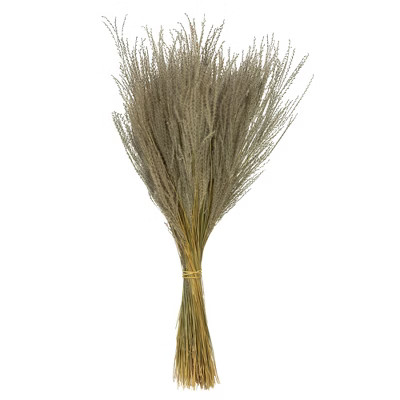 Vickerman 14-20" Natural Snowdrop Grass, 3 oz, Dried | Target