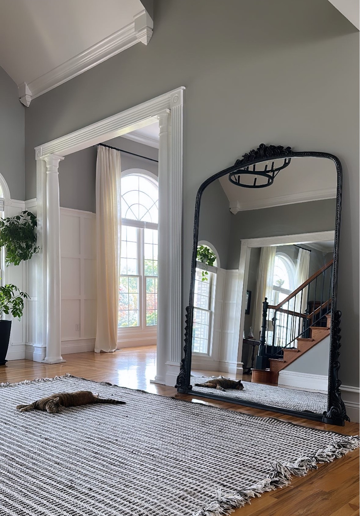 😍 finally got my hands on the Anthropologie primrose mirror 
so beautiful!!! Love the antique black

#LTKhome