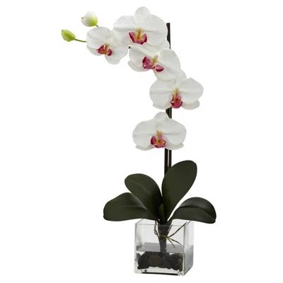 https://www.wayfair.com/Nearly-Natural-Giant-Phalaenopsis-Orchid-in-Glass-Planter-TXN3093.html?piid% | Wayfair North America