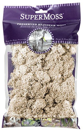 Amazon.com: SuperMoss 7 59834 2, Natural, Super 21702 Reindeer Moss Preserved, 2oz, 80.75 Cubic inch | Amazon (US)