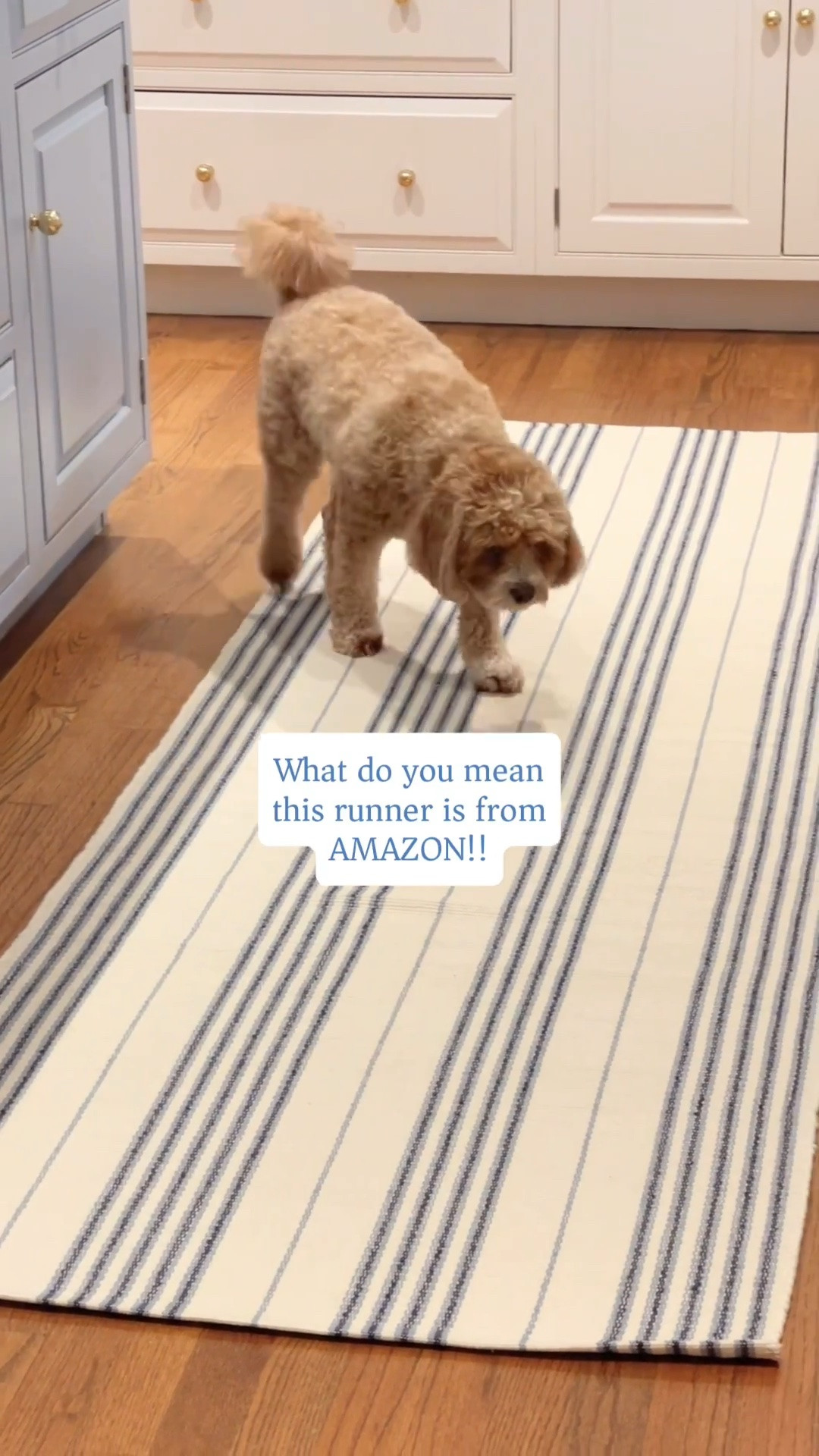 It was time for a new kitchen runner and I’m IN LOVE with this new blue & cream striped one from AMAZON!! 😍🙌🏻 Serena & Lily vibes but w/o the high price tag! 

P.S. island paint color: BM blue heather

What I 🤍:
- 100% cotton
- multiple sizes available
- reversible 🙌🏻

#LTKHome #LTKSaleAlert