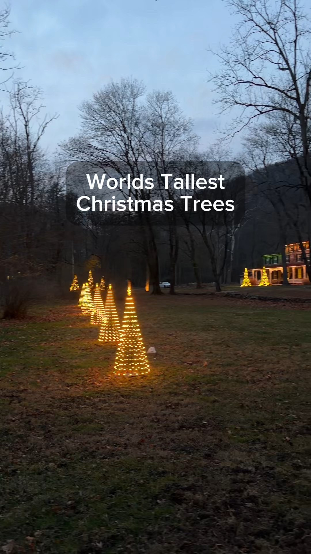 Outdoor Christmas Lights. Tree Lights | Holiday Decor 

#LTKSeasonal #LTKHoliday #LTKHome
