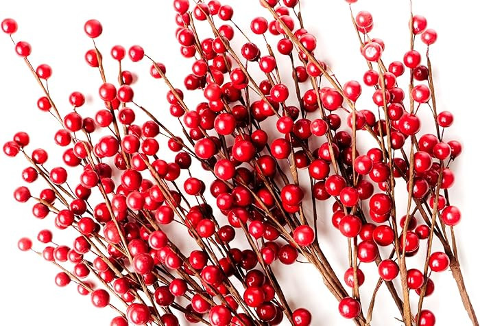 CraftMore Set of 12 Red Berry Picks 16 Inch | Amazon (US)