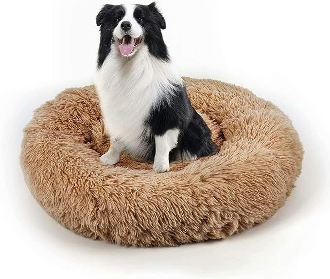 Dog Bed, Cat Calming Bed, Orthopedic Pet Donut Cuddler Round Plush Bed for Large Medium Small Dog... | Amazon (US)
