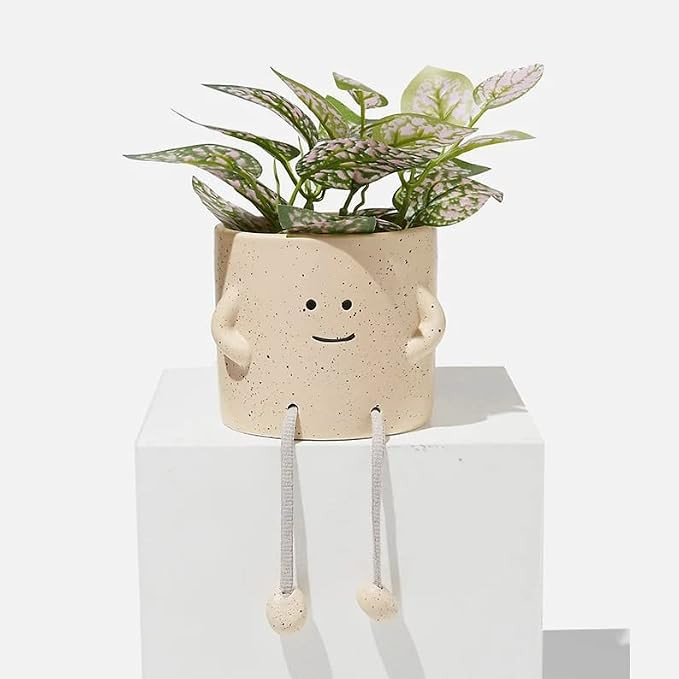 Smiling Floral Succulent Planter, Cute Face Decorative Pot (4 Inch) with Rope Legs (Natural) | Amazon (US)