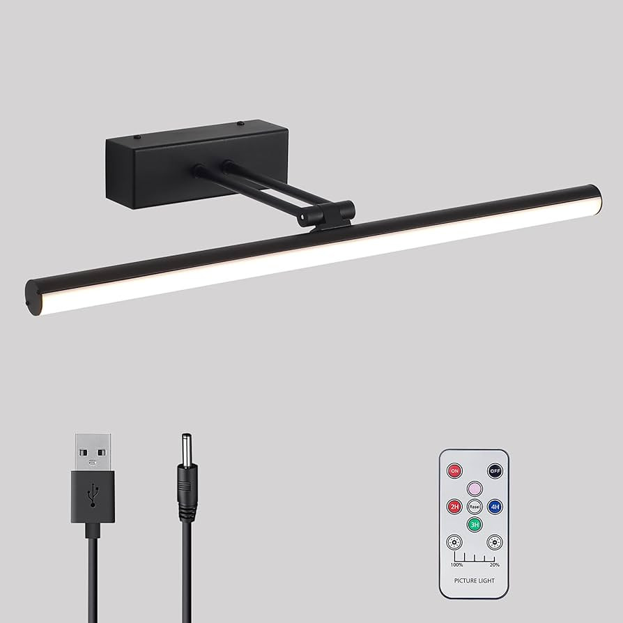 Picture Light,20inches Picture Frame Light, Art Light for Paintings,Rechargeable Picture Light Ba... | Amazon (US)