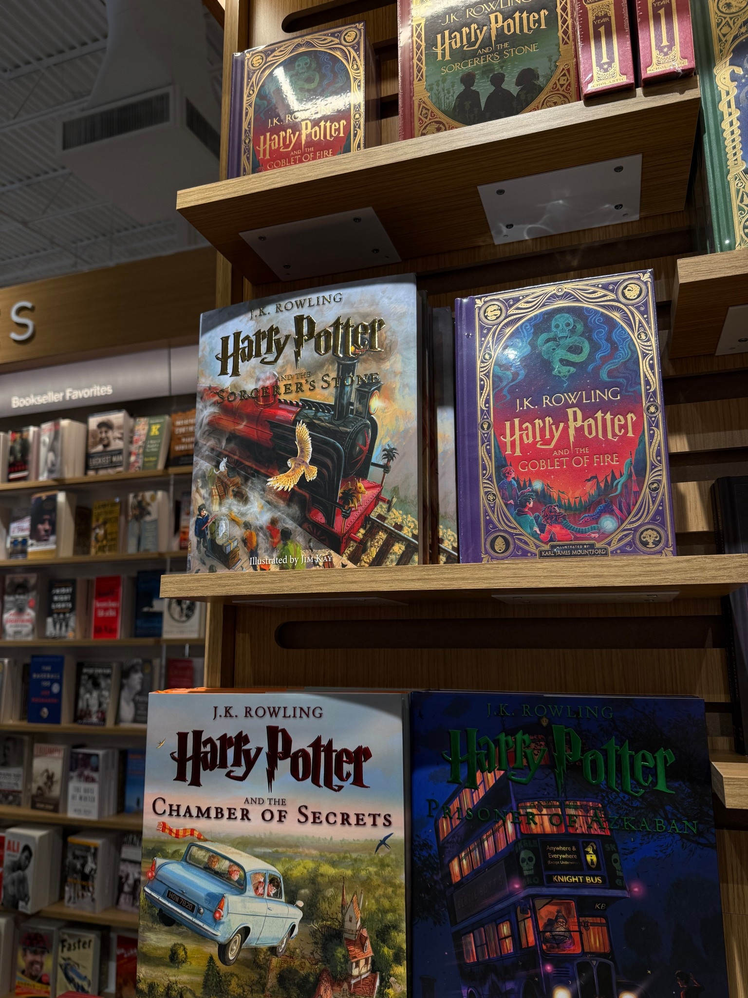 Illustrated HP books!!! They have such elegant and pretty illustrations on the inside🤩🤩

#LTKHome #LTKGiftGuide #LTKdayinmylife