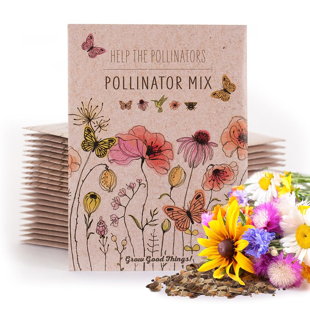 Bentley Pollinator Mix - Pre-Filled, Non-GMO, Non-Coated Butterfly Packets - 25 Annual Wildflower... | Amazon (US)