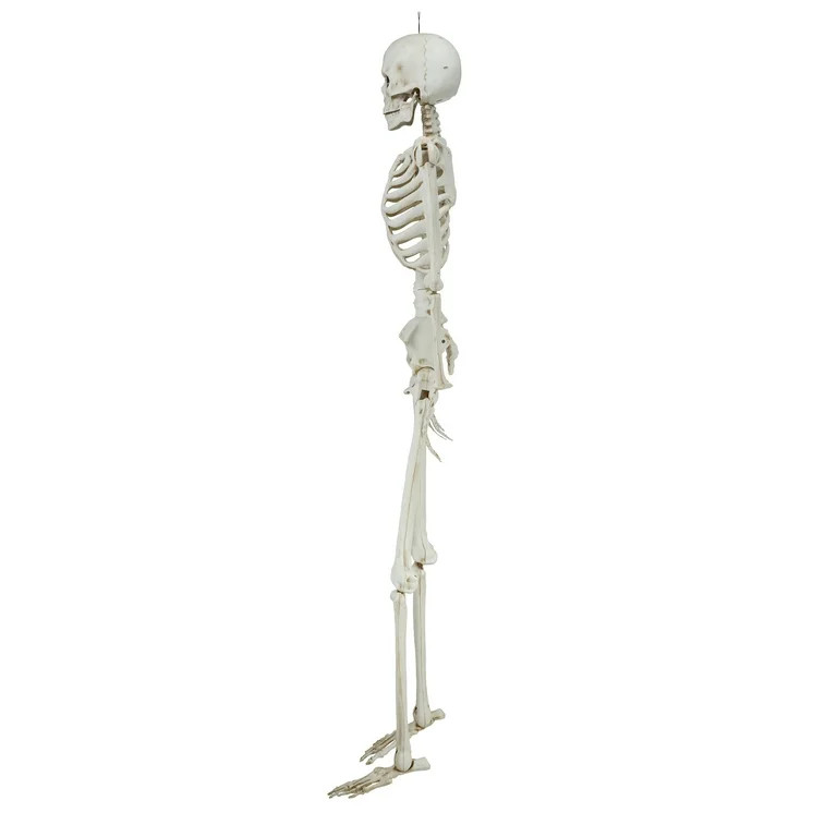 7ft Hanging Poseable Titan Faux Skeleton Decoration, Halloween by Way To Celebrate | Walmart (US)