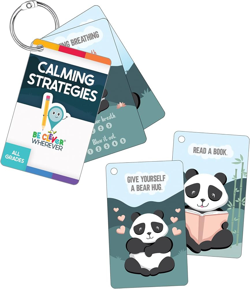 Carson Dellosa Be Clever Wherever Things on Rings Calming Strategies, PreK-Grade 5, Book Ring and... | Amazon (US)