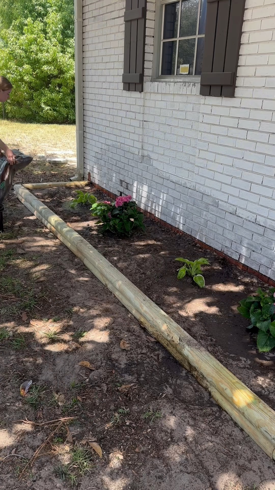 New flower beds for spring 🌺  hydrangeas and hostas!

#LTKSeasonal #LTKHome