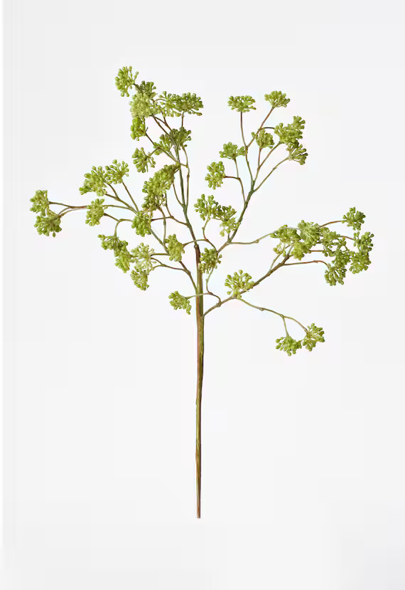 16 Soft Green Sedum Stem | Etsy | Etsy (US)