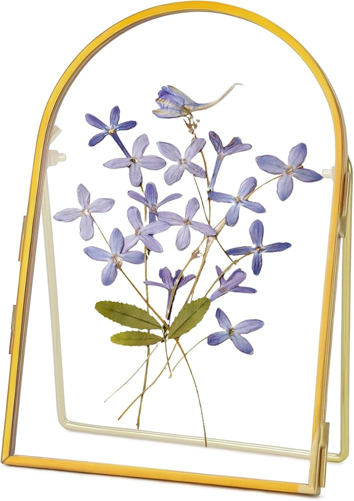 Double Glass Frame for Pressed Flowers Handmade, Metal Floating Picture Frame for Pressed Flower,... | Amazon (US)