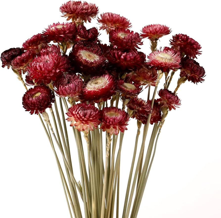 Dried Flower 40PCS Daisy Bouquet 100% Natural Chrysanthemum Dry Flower with Stem for Vase Home d... | Amazon (US)