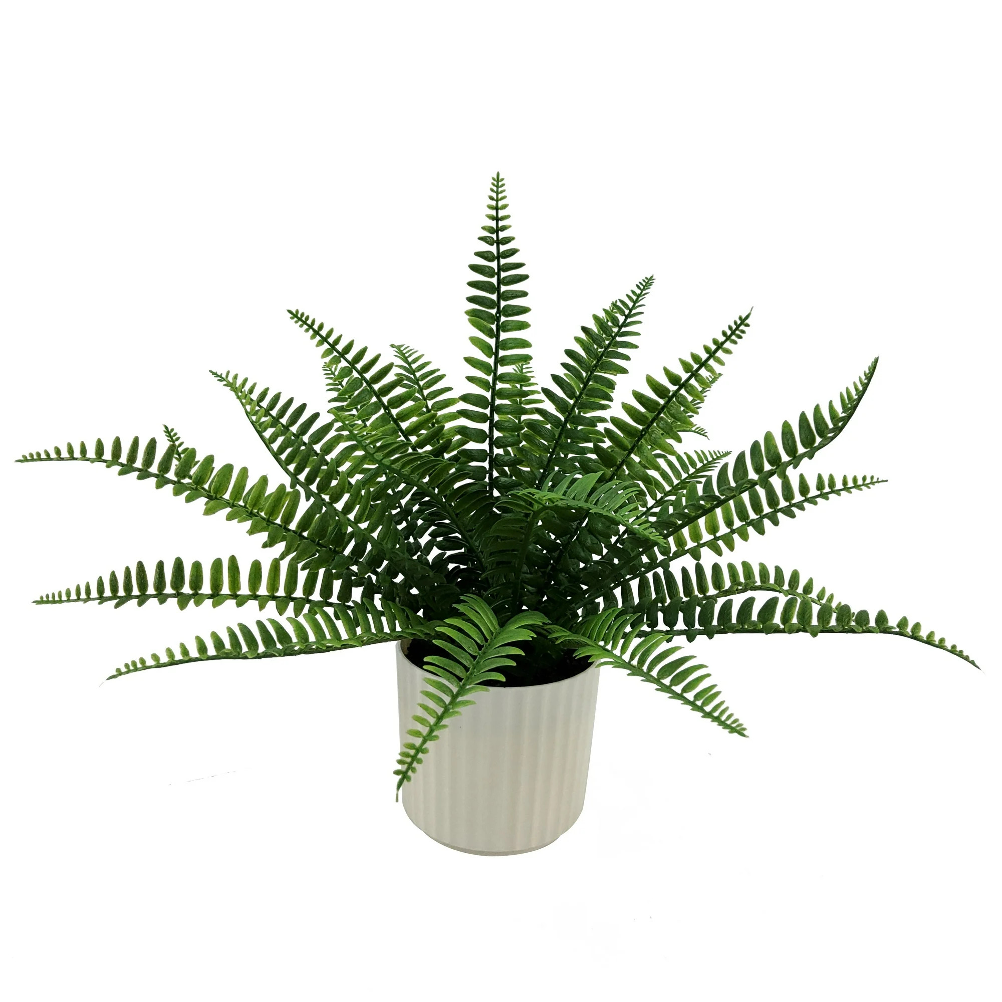 Mainstays 9 in Artificial Fern Leaf in White Pot, Green Color, 0.5lb Weight. - Walmart.com | Walmart (US)