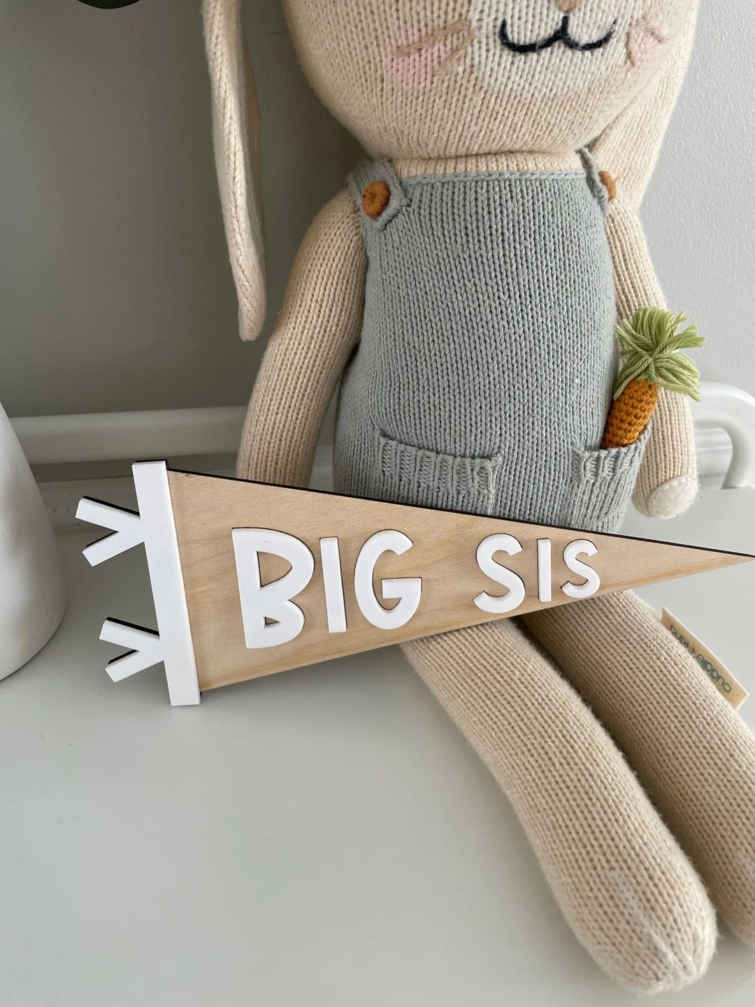 Big Sister Announcement Pregnancy Reveal Baby Shower - Etsy | Etsy (US)