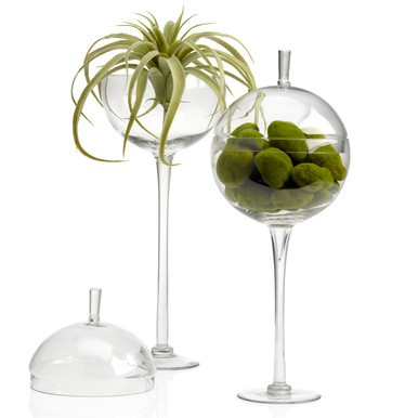 Jules Canister | Z Gallerie