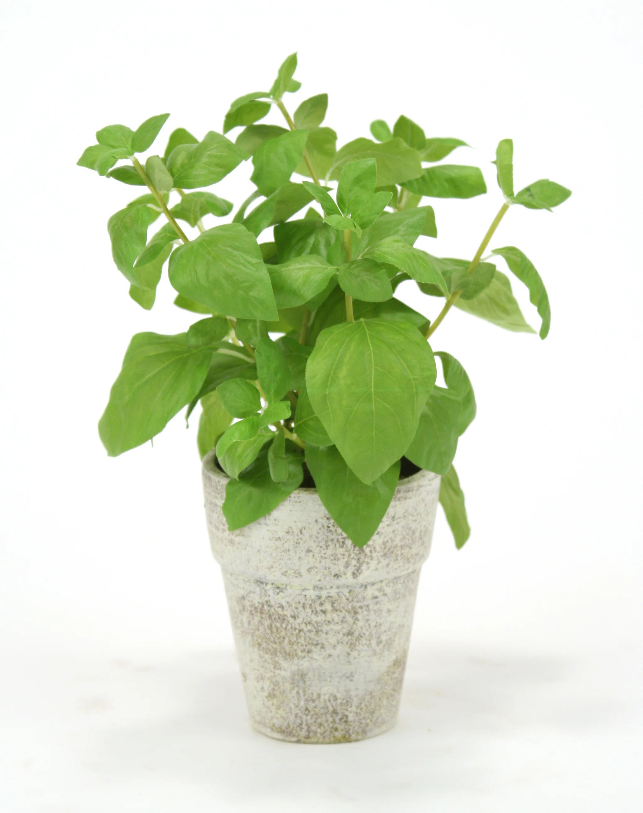 15'' Faux Basil Plant in Ceramic Pot | Wayfair North America