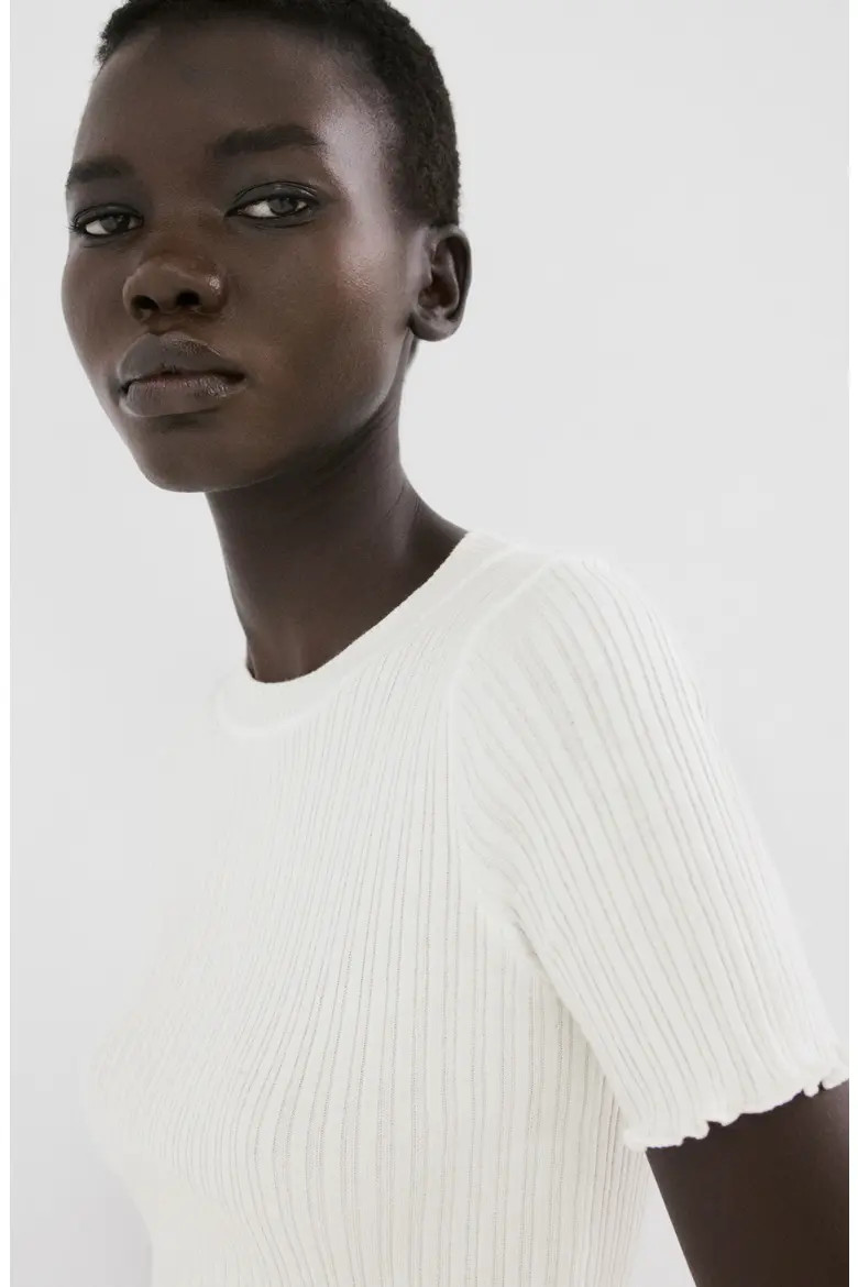 Cotton Blend Rib T-Shirt (Women) | Nordstrom | Nordstrom