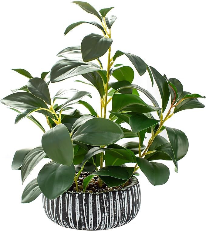 AlphaAcc Artificial Plants Decor Greenery Fake Succulents Indoor Potted Fake Plant with Rustic Bl... | Amazon (US)