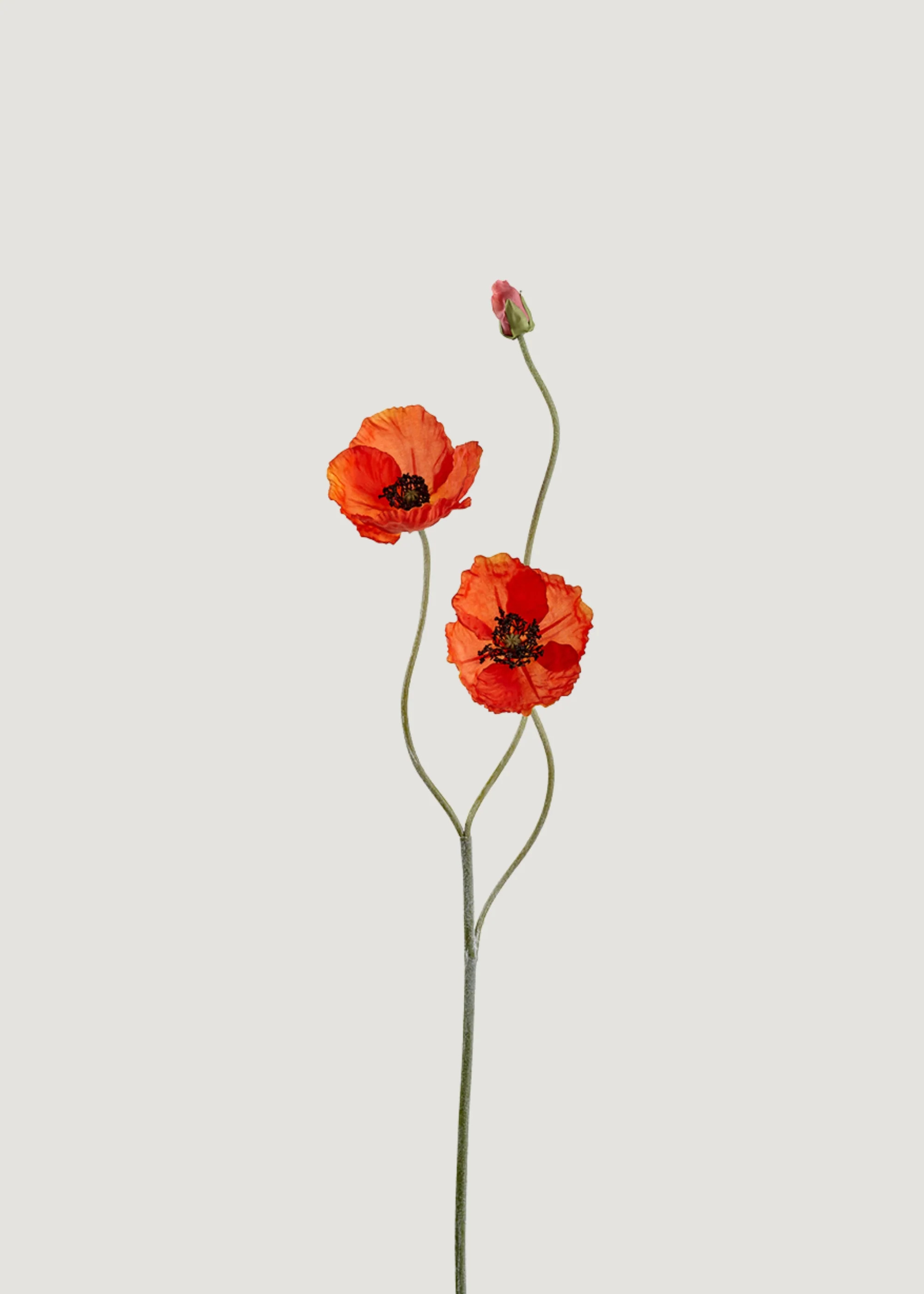 Faux Poppy Stem in Orange | Realistic Artificial Flowers | Afloral | Afloral
