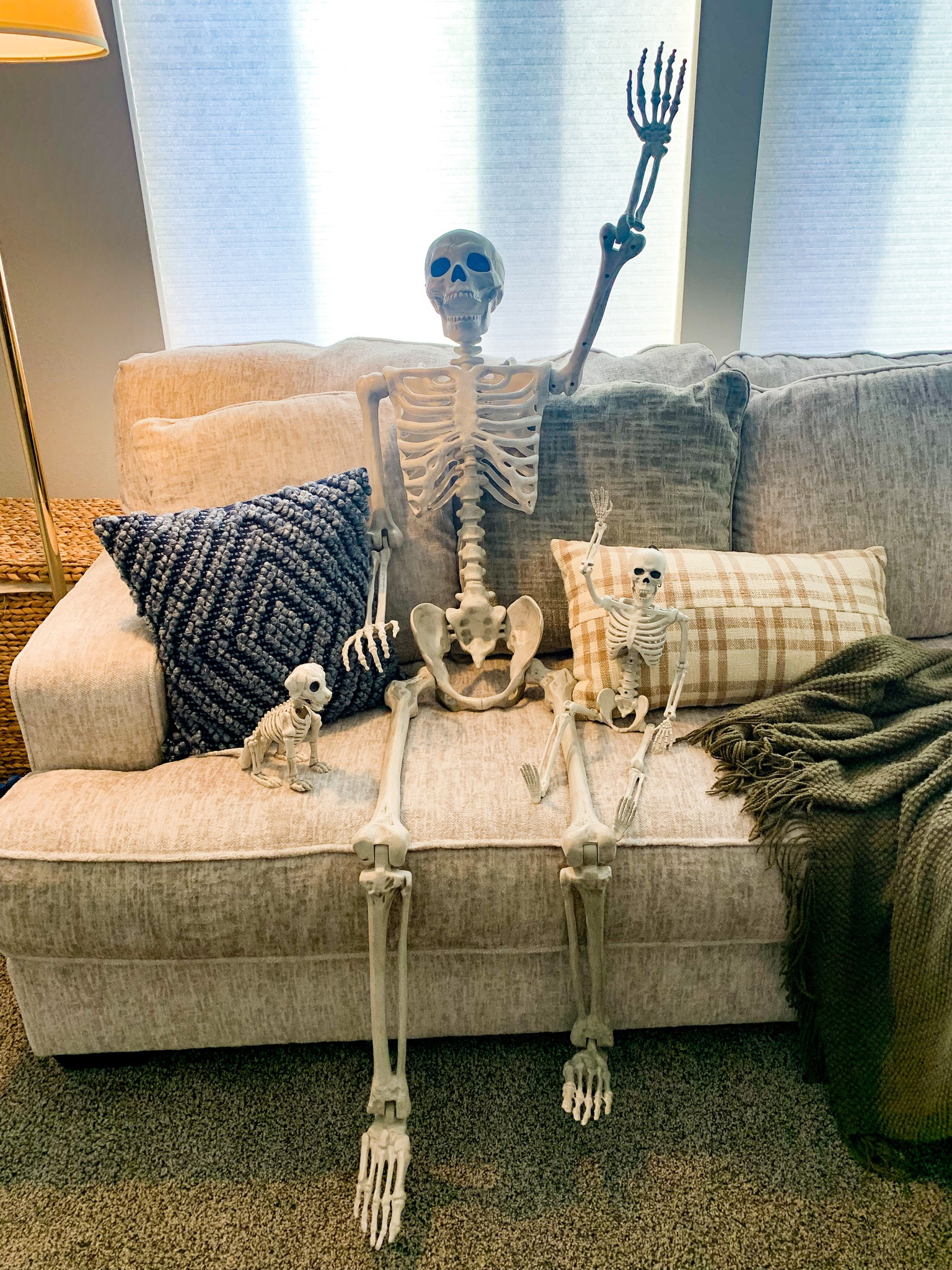 Halloween is here, and a skeleton family is a must. Dress them up, move them around. They are posable and work indoor or outdoor  

#LTKHalloween #LTKfamily #LTKSeasonal