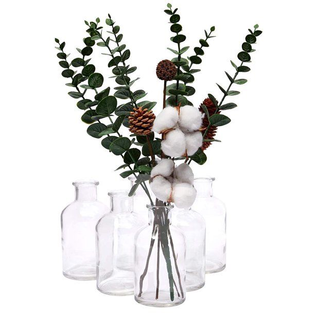 6 Pack Amber Glass Bottle, Apothecary Flower Bud Vases for Vintage, Decorative Home Decor, Clear,... | Walmart (US)