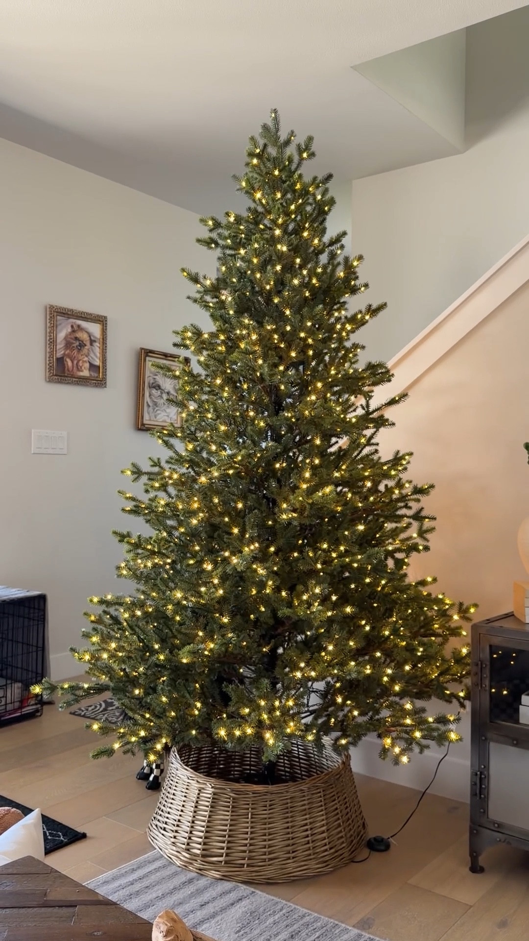 New Christmas tree alert!!! In LOVE with the viral Christmas tree from Home Depot. We got the 7.5ft



#LTKHome #LTKHoliday #LTKSeasonal